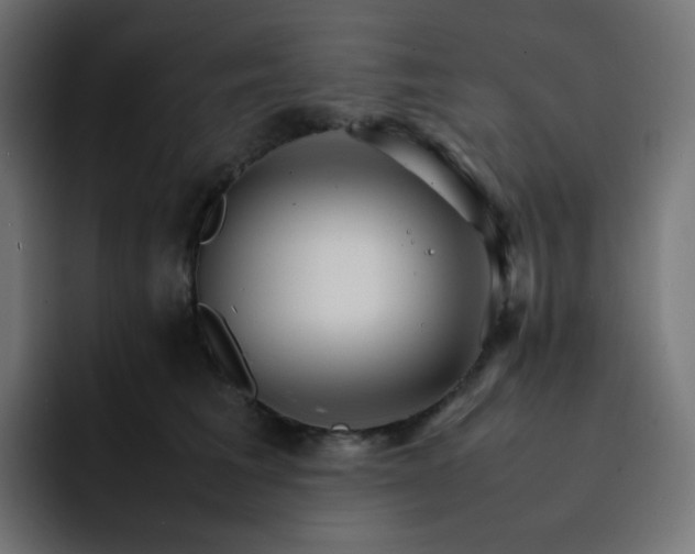 X0000093150613200710101137
