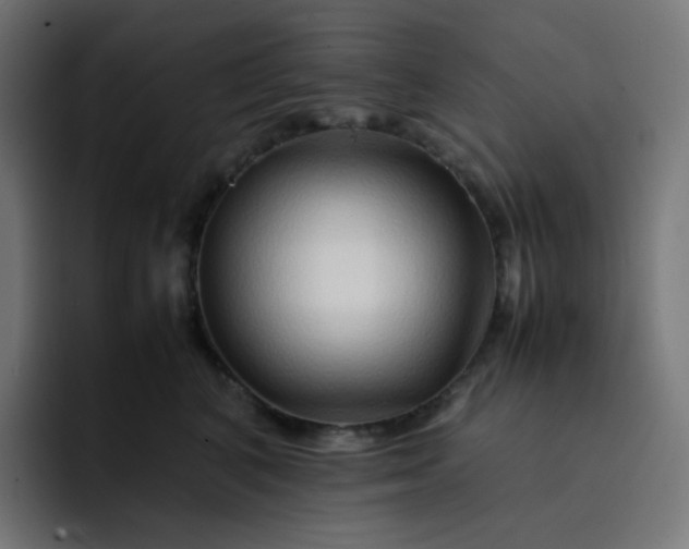 X0000093150616200710101137
