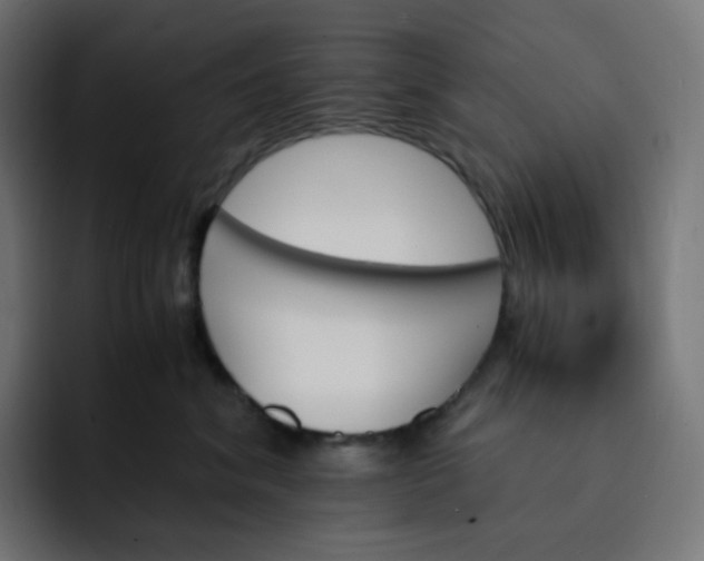 X0000093150620200710101137