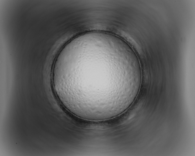 X0000093150625200710101136