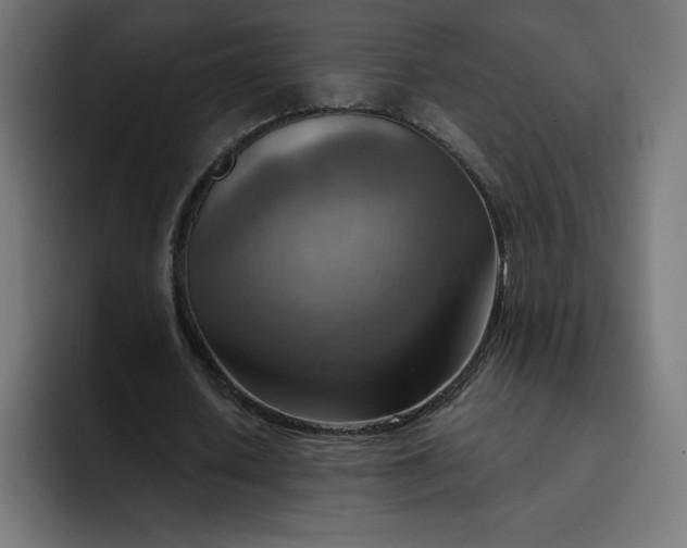 X0000093150626200710101136