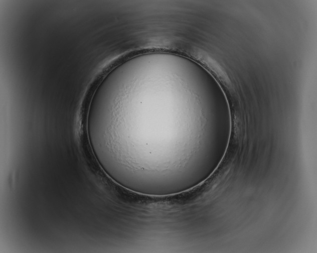 X0000093150628200710101136