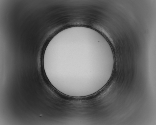 X0000093150629200710101136