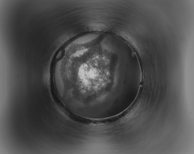 X0000093150630200710101136