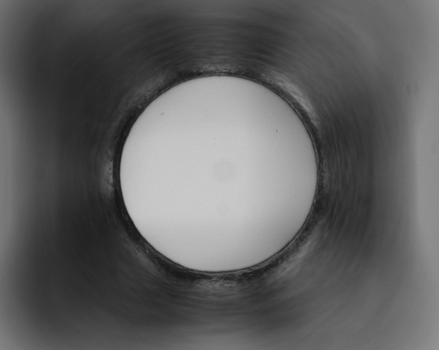 X0000093150633200710101136