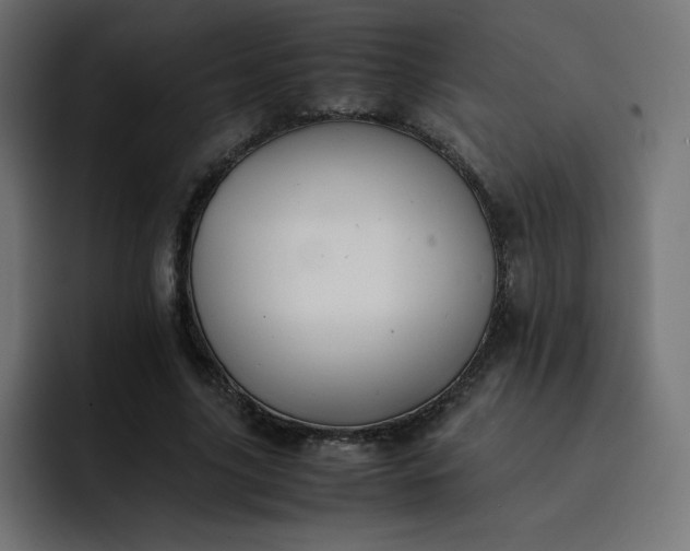 X0000093150635200710101136