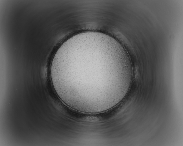 X0000093150636200710101136