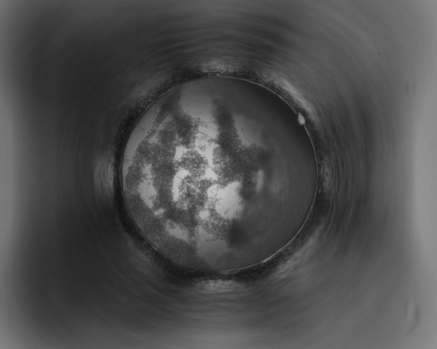 X0000093150637200710101136