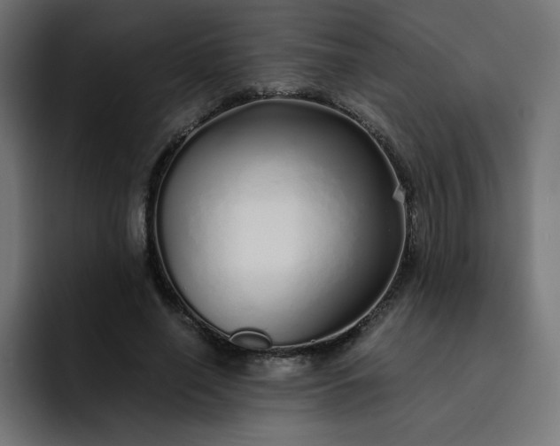 X0000093150638200710101136