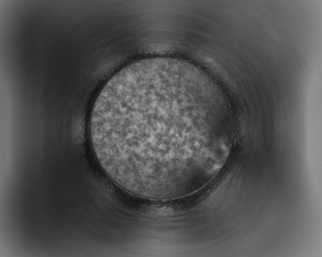 X0000093150640200710101136