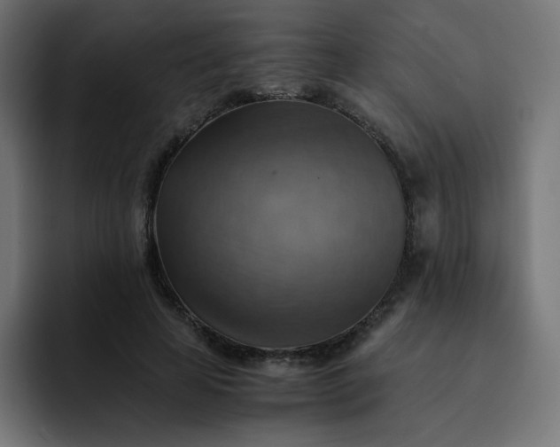 X0000093150641200710101136