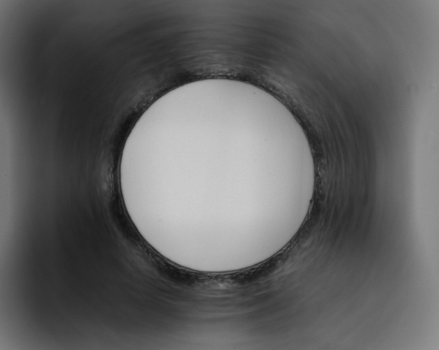 X0000093150642200710101136