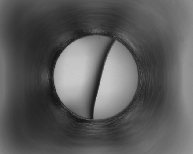 X0000093150643200710101136