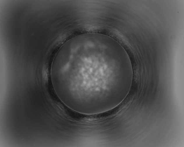 X0000093150644200710101136