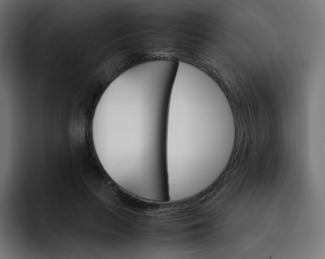 X0000093150647200710101136