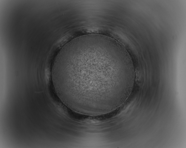X0000093150648200710101136