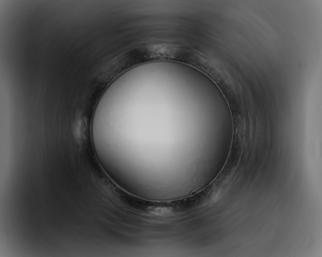 X0000093150649200710101136