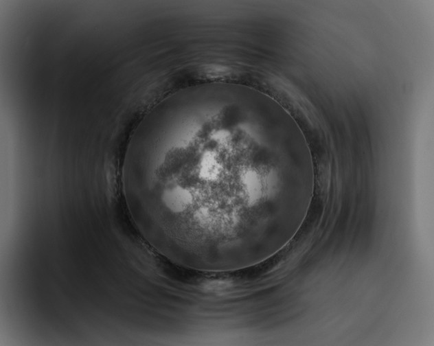 X0000093150653200710101136
