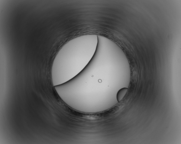 X0000093150654200710101136
