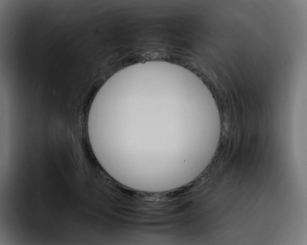 X0000093150659200710101136