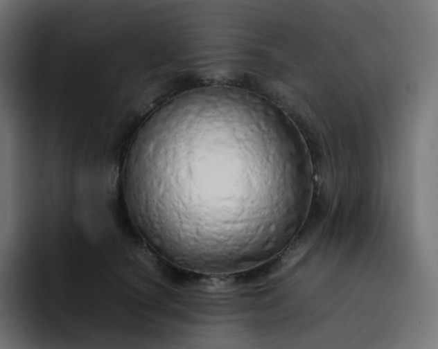 X0000093150660200710101136