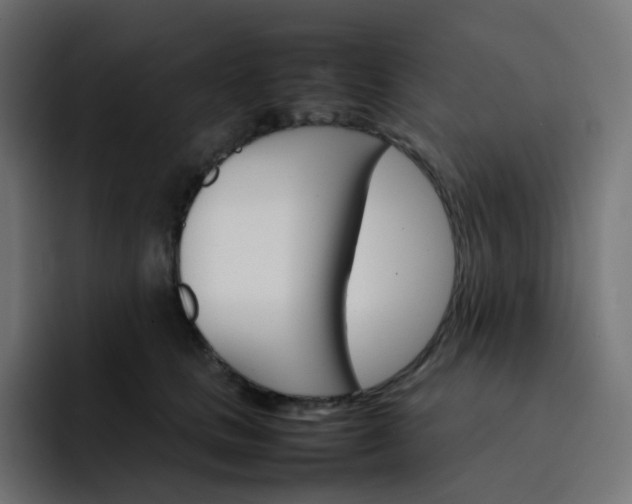 X0000093150661200710101136