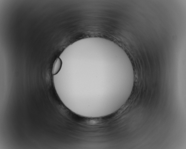 X0000093150662200710101136