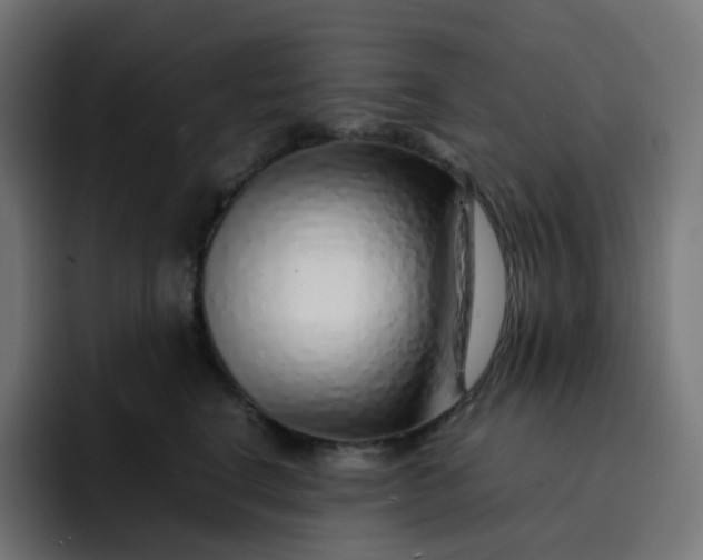 X0000093150664200710101136