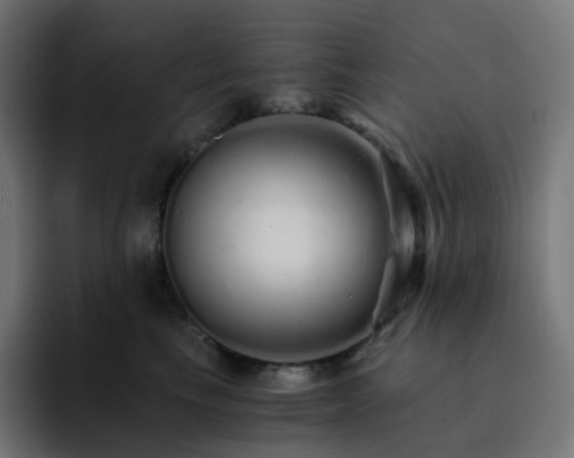 X0000093150665200710101136