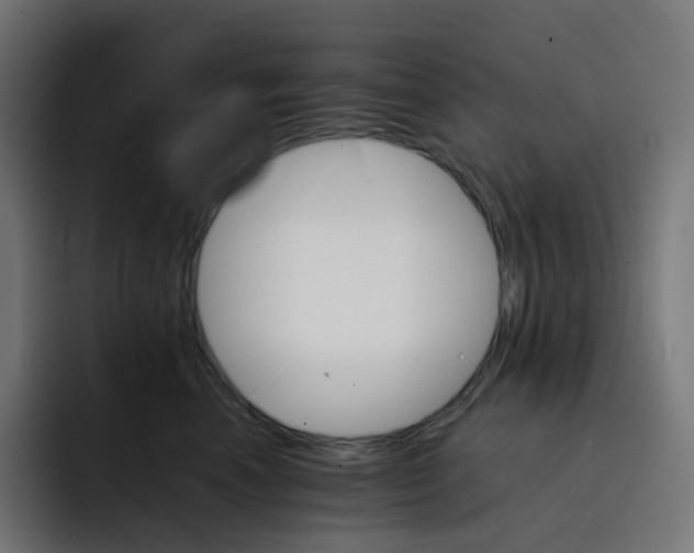 X0000093150666200710101136