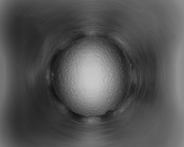 X0000093150670200710101137