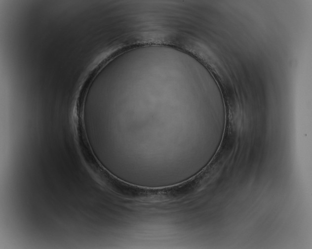 X0000093150674200710101136