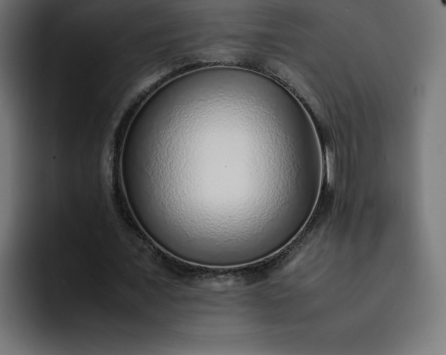 X0000093150675200710101136