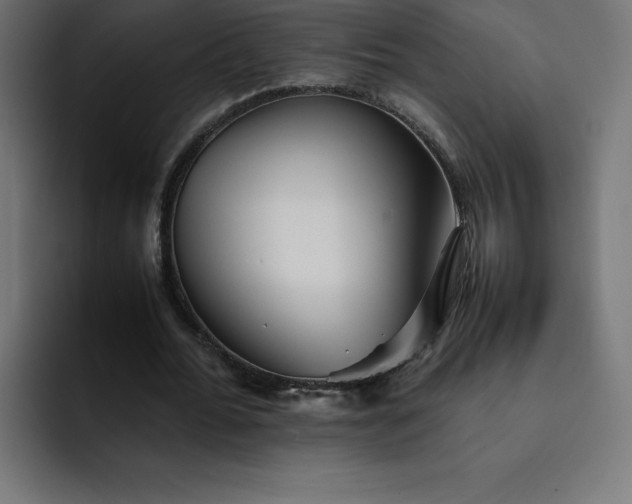 X0000093150676200710101136
