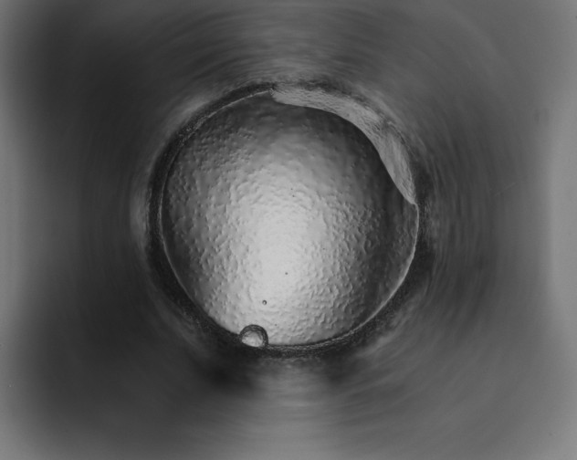 X0000093150679200710101136