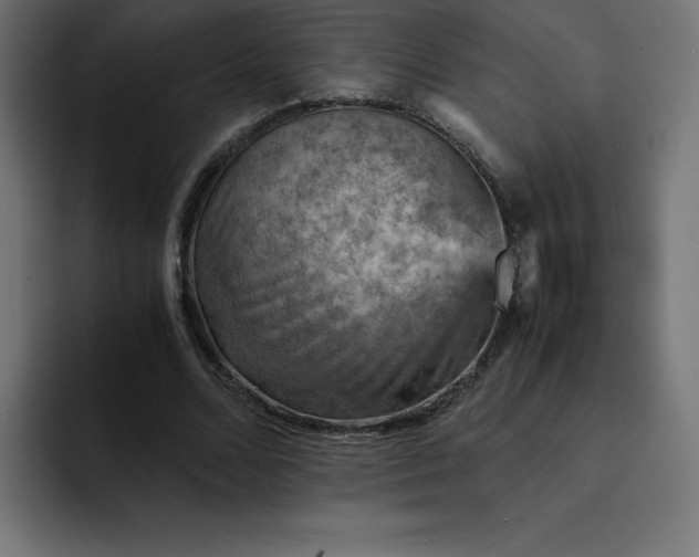 X0000093150680200710101136