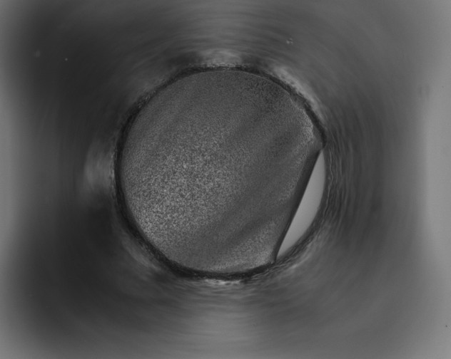 X0000093150681200710101136