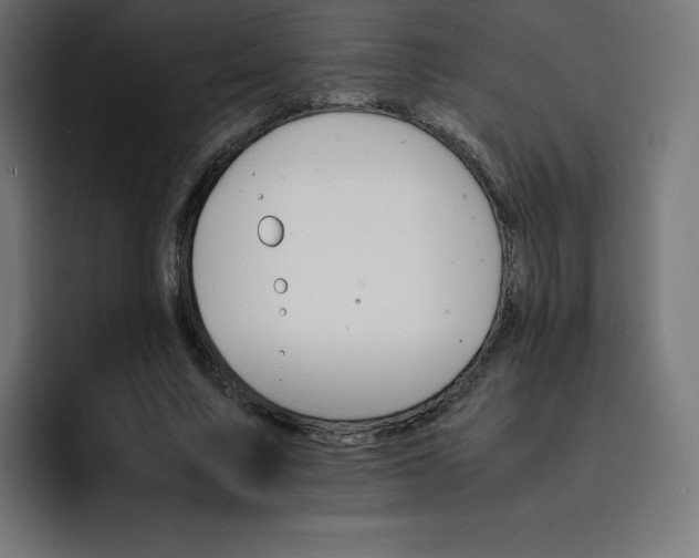 X0000093150683200710101136