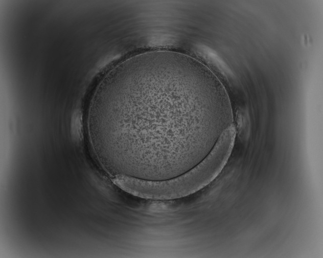 X0000093150684200710101136