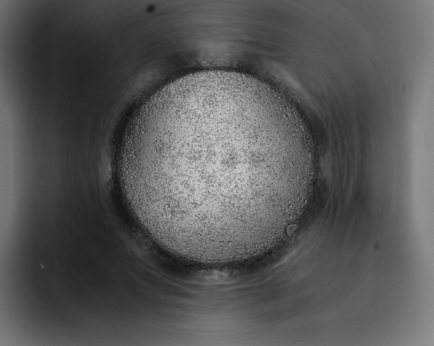 X0000093150687200710101136