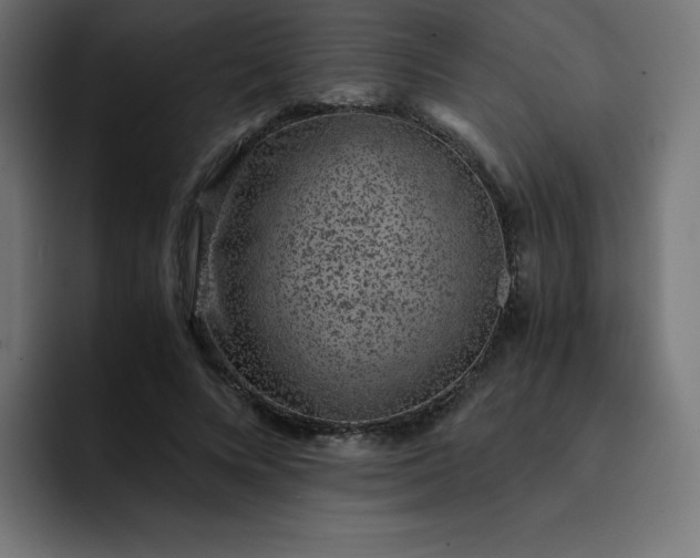 X0000093150688200710101136
