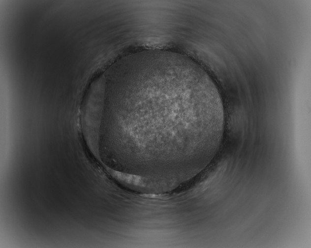X0000093150689200710101136
