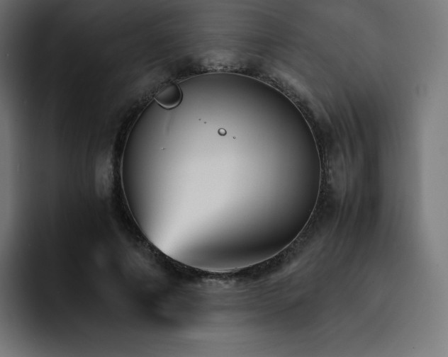 X0000093150690200710101136