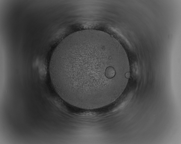 X0000093150691200710101136