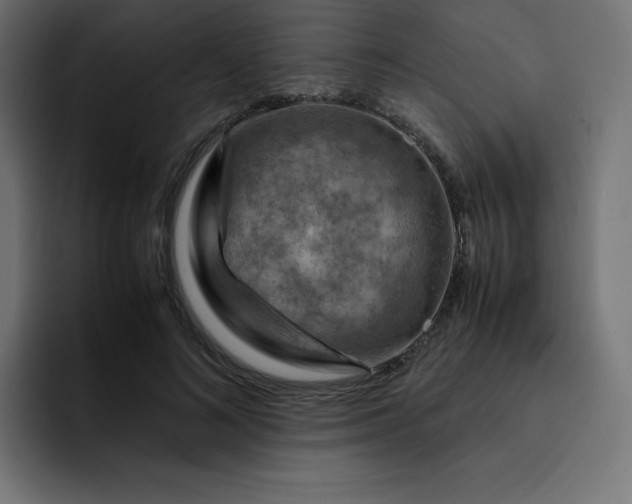 X0000093150692200710101136