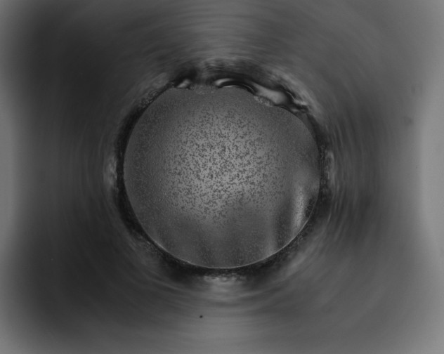 X0000093150693200710101136