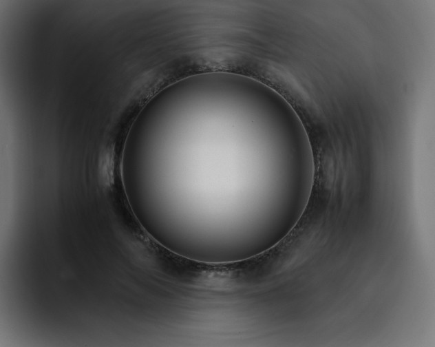 X0000093150694200710101136