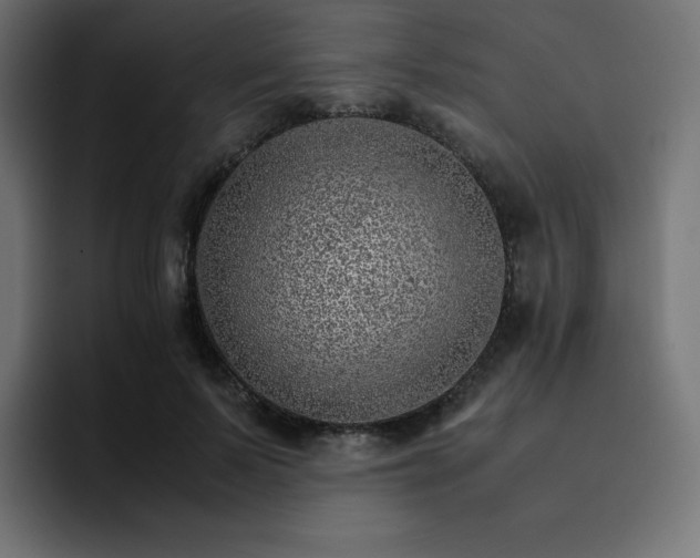 X0000093150695200710101136