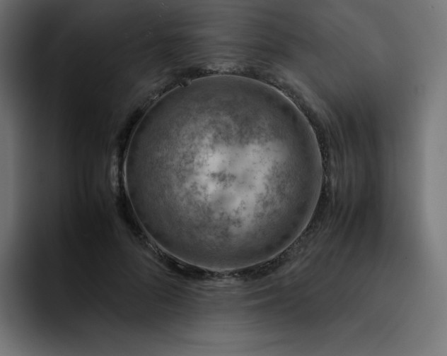 X0000093150696200710101136