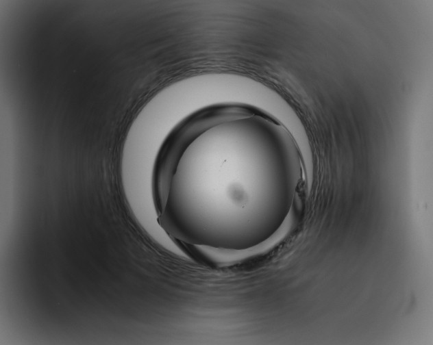 X0000093150697200710101136
